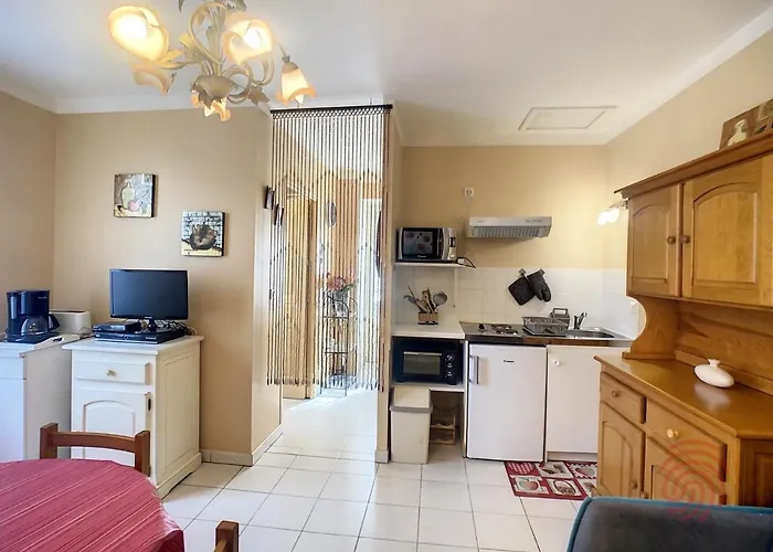 Studio Confortable Avec Wifi Et Animaux Acceptes, Proche De Lamalou-Les-Bains - Fr-1-451-153 Lägenhet *