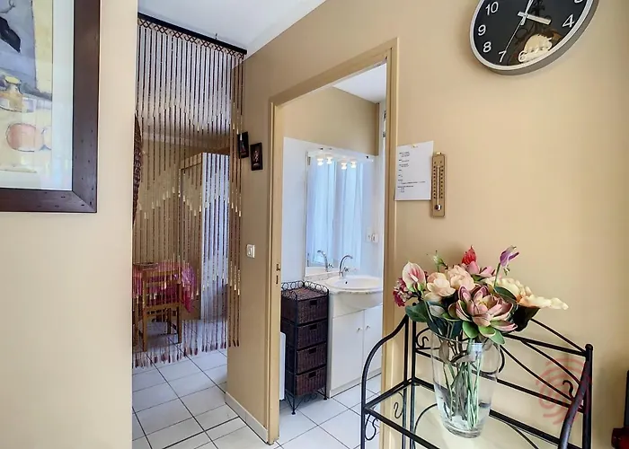 Studio Confortable Avec Wifi Et Animaux Acceptes, Proche De Lamalou-Les-Bains - Fr-1-451-153 Lägenhet *